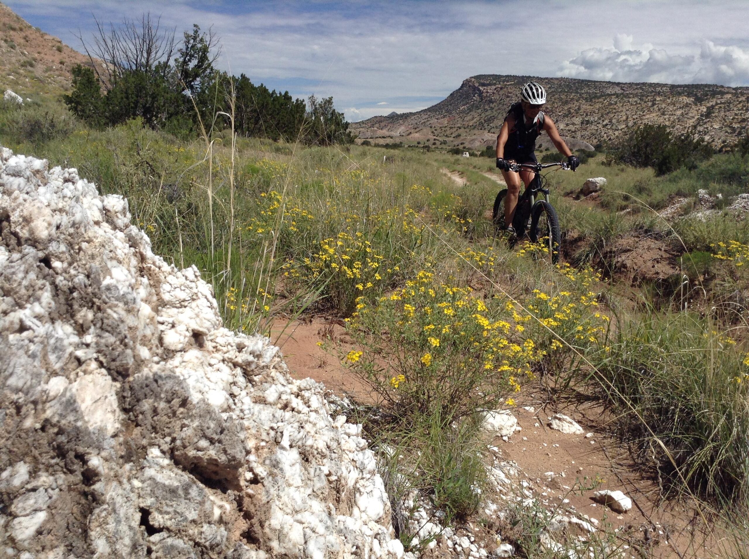 A cyclist navigating a dirt trail surrounded by wildflowers and grass, with rocky terrain in the foreground and a mountainous landscape in the background under a partly cloudy sky. White Ridge Bike Trails mountain bike trail.