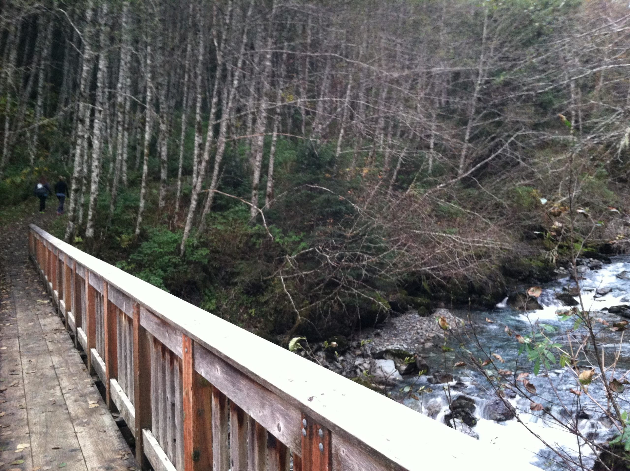 A wooden bridge spans a stream in a forested area, with tall trees and lush greenery surrounding the scene. Two hikers can be seen walking along the path beside the bridge. The atmosphere is serene and natural, showcasing the beauty of the outdoors. Flume Trail mountain bike trail.