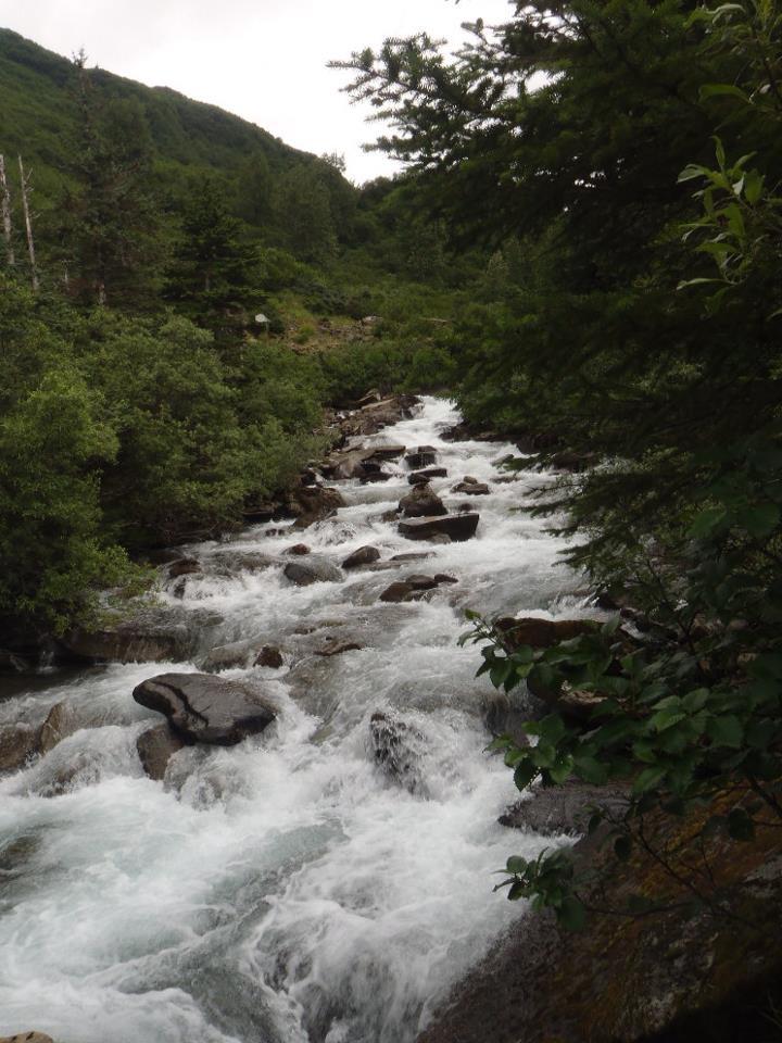 A flowing river with white water cascades over rocks, surrounded by lush greenery and mountains in the background. The scene conveys a tranquil natural environment. Preserverance Trail mountain bike trail.