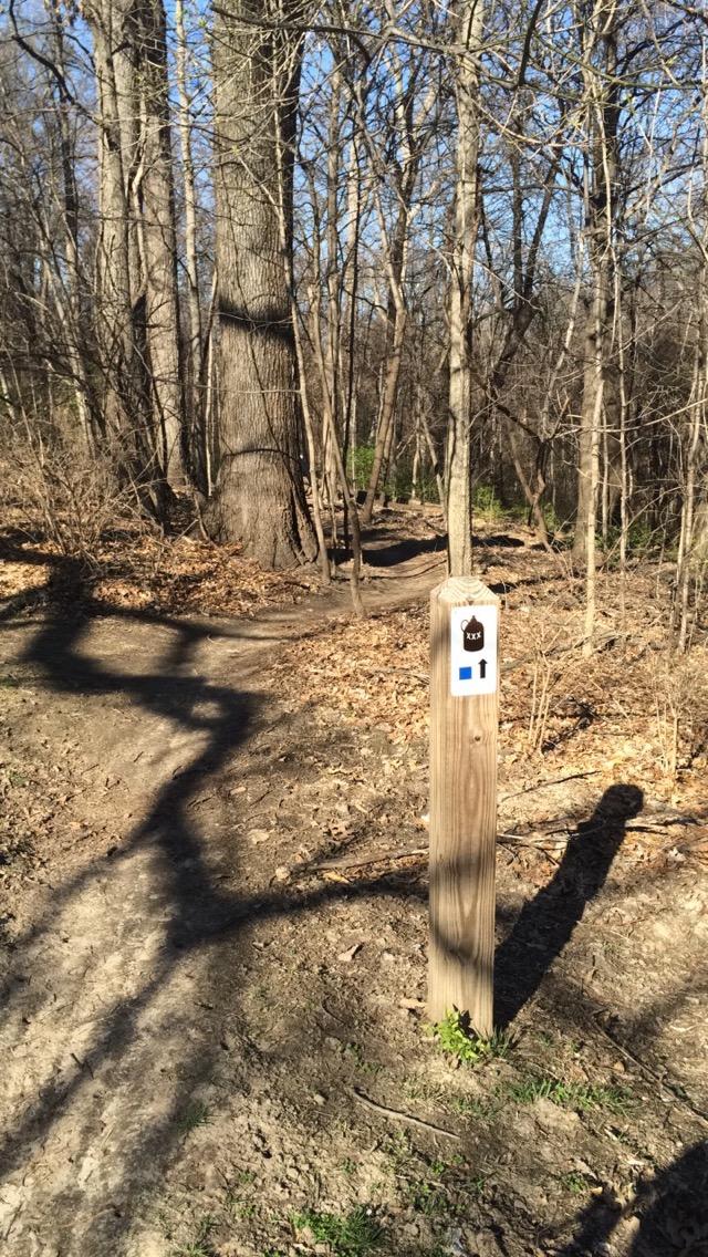A signpost marking a trail path in a wooded area, surrounded by bare trees and scattered leaves on the ground. The sign indicates the trail number and direction with a symbol of an acorn and an arrow pointing upward. Sunlight filtering through the branches creates shadows on the path. Creve Couer Park mountain bike trail.