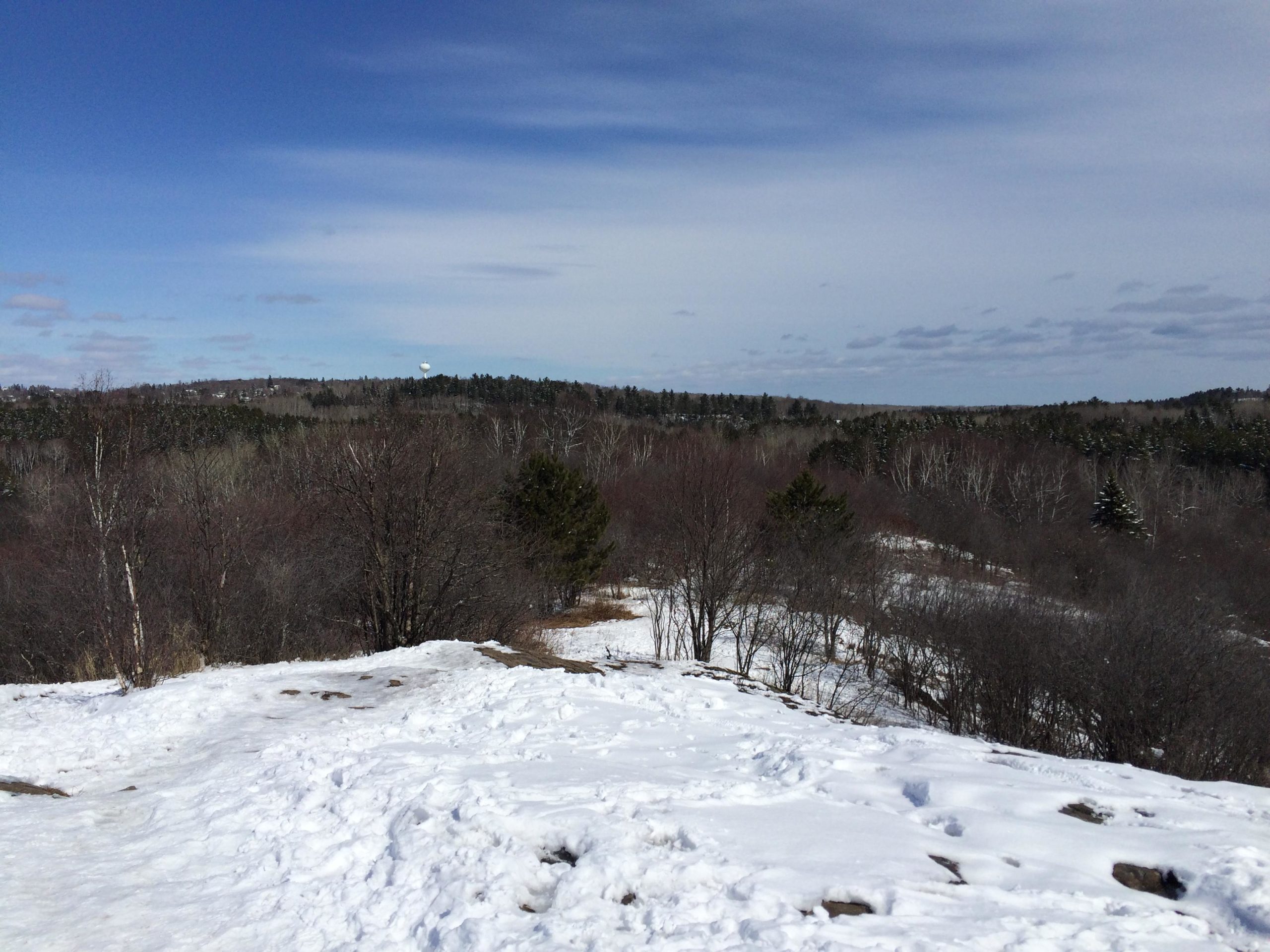 A panoramic view of a winter landscape featuring a blanket of snow covering the ground and sparse, leafless trees in the foreground. In the background, a forest of evergreens stretches across rolling hills under a mostly cloudy sky. A distant water tower is visible on the horizon. The scene captures the serene beauty of nature in winter. Hartley Park mountain bike trail.