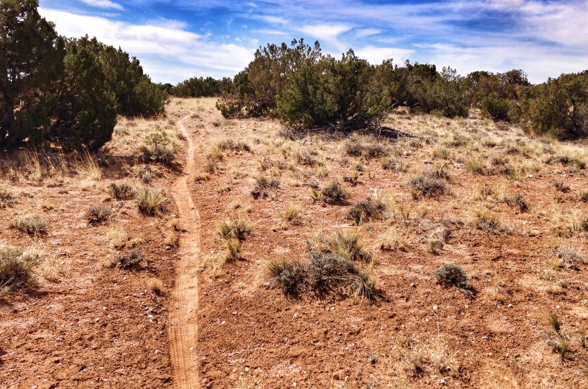 A narrow dirt trail winds through a grassy, arid landscape with sparse vegetation, including low shrubs and dry grasses, under a partly cloudy blue sky. Parkway Fatbike trail mountain bike trail.