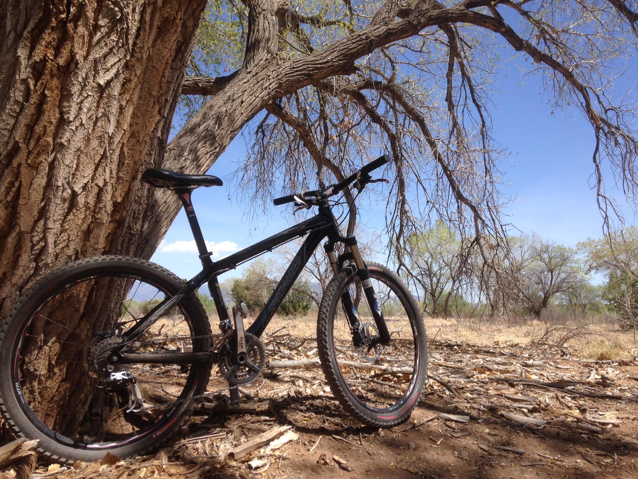 A black mountain bike leaning against a large tree in a dry, open area with scattered branches and patches of grass under a blue sky. Albuquerque Bosque mountain bike trail.