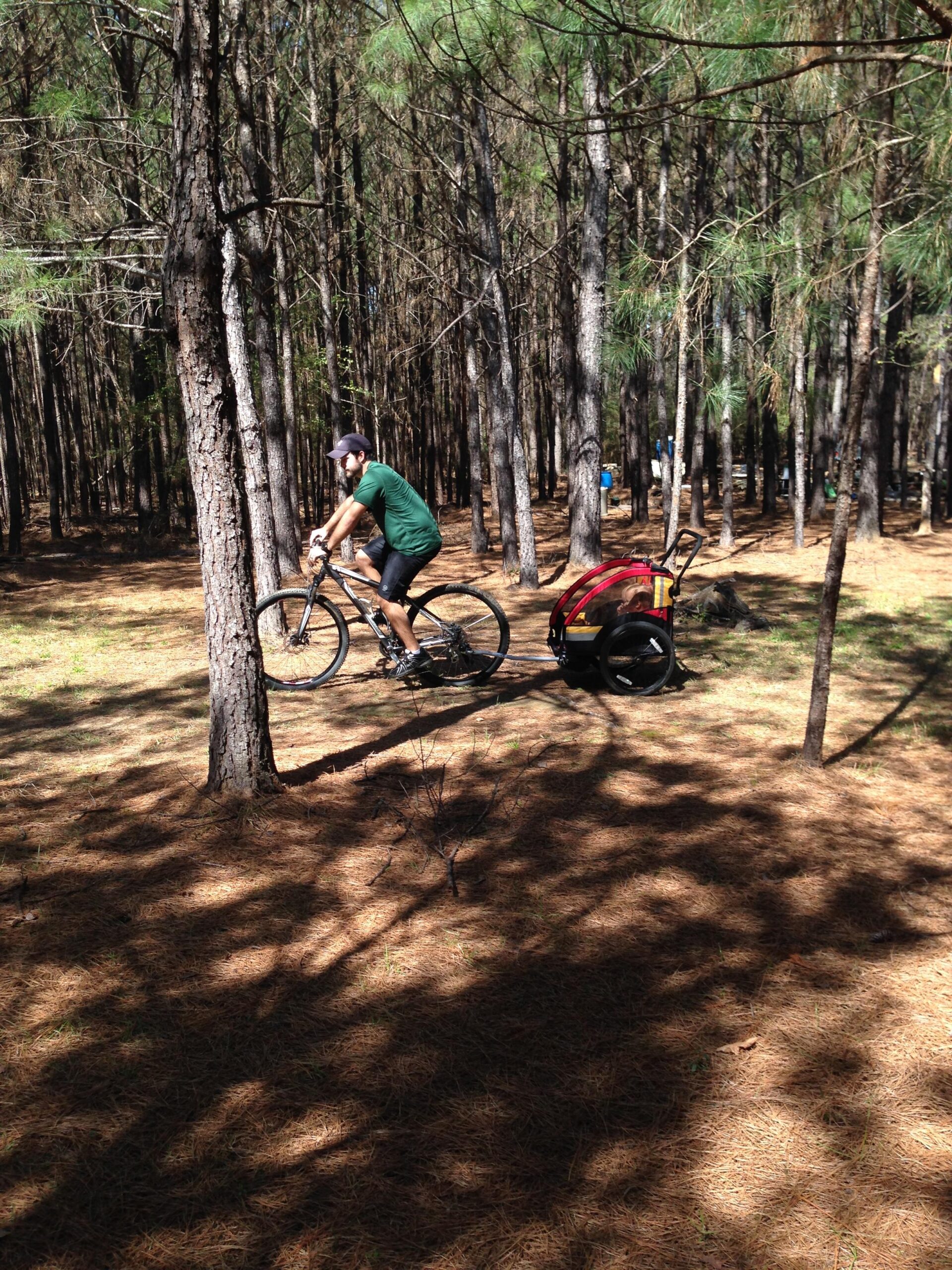 A person riding a bicycle through a pine forest, pulling a trailer. Sunlight filters through the trees, casting shadows on a bed of pine needles. The surroundings are lush with greenery, creating a serene outdoor atmosphere. Mt. Zion Bike Trails mountain bike trail.
