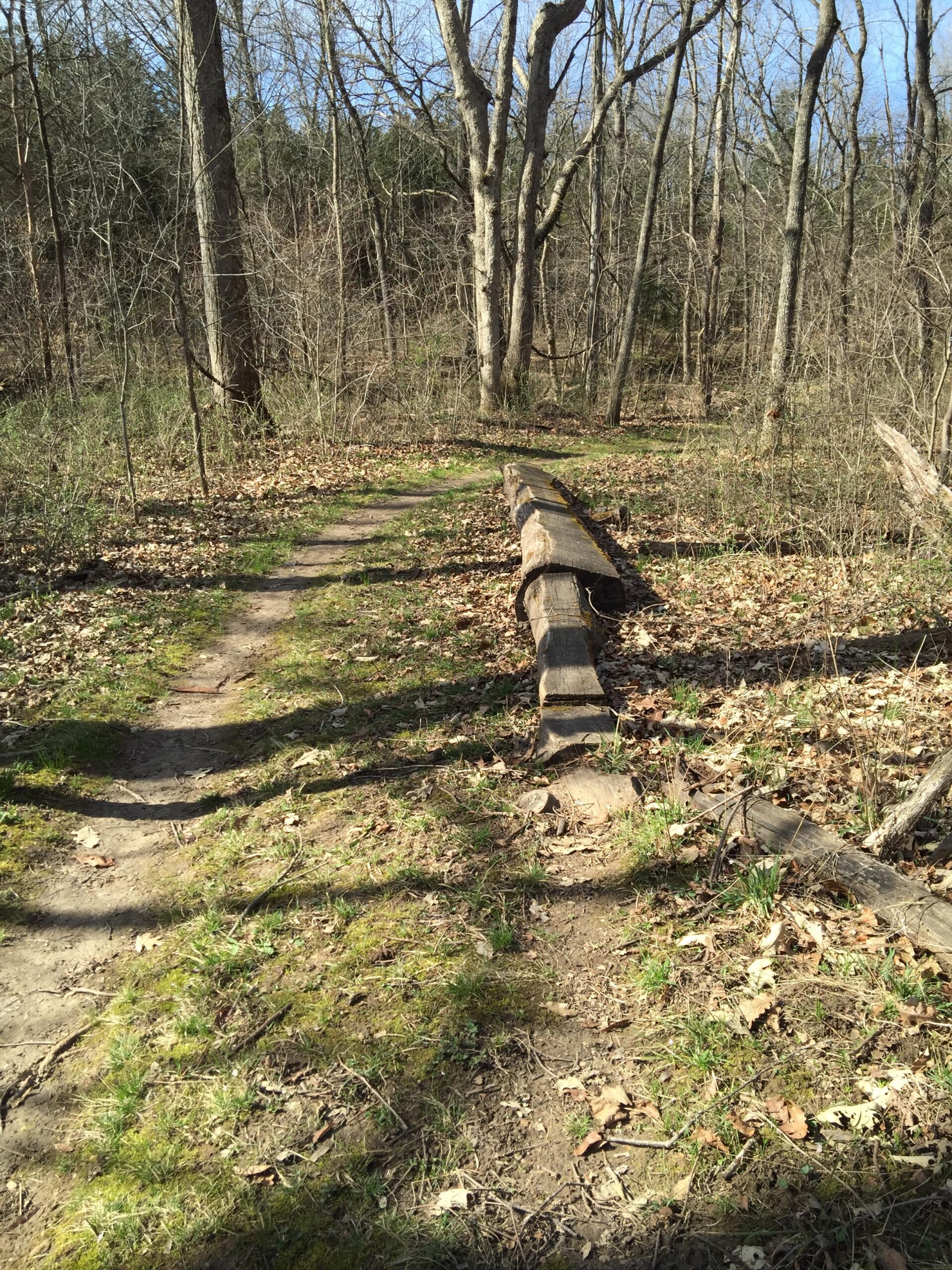 A dirt path winding through a wooded area in early spring, with bare trees and patches of green grass. A large log lies across the path, adding a rustic element to the natural scenery. Binder Lake mountain bike trail.