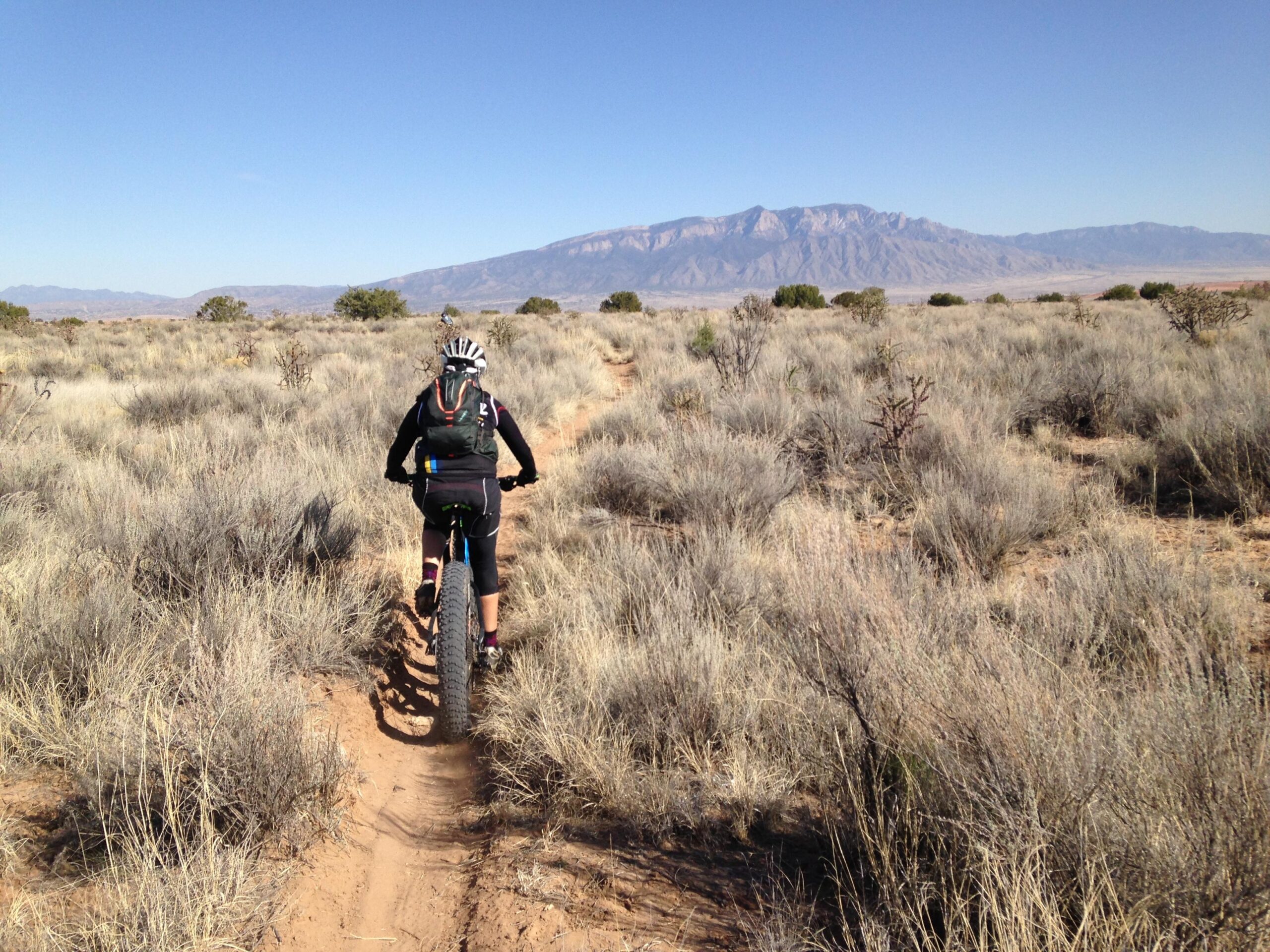 A person riding a mountain bike on a dirt trail through a grassy, arid landscape, with a mountain range visible in the background under a clear blue sky. Super Fat Bike Loop mountain bike trail.
