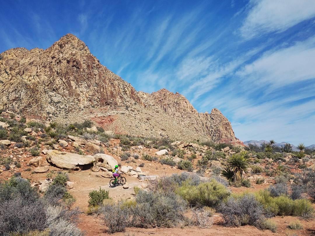 A scenic outdoor landscape featuring a cyclist riding a mountain bike on a dirt trail. The background showcases towering rocky mountains under a bright blue sky with wispy clouds, surrounded by desert vegetation, including shrubs and cacti. Cottonwood Valley North mountain bike trail.
