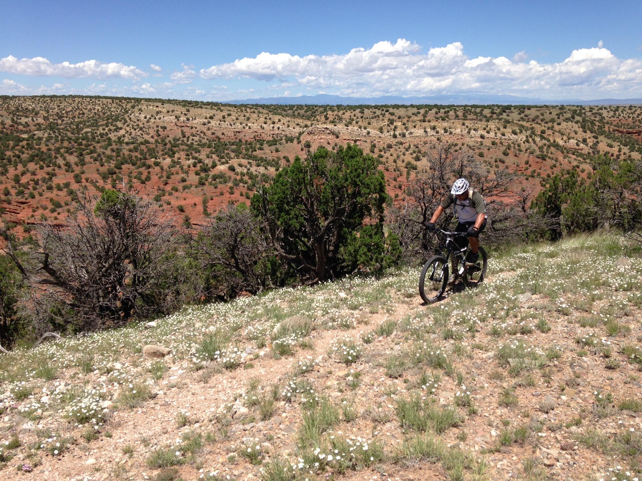 Specialized Enduro S-Works 650b: Mountain biker navigating a rocky path covered in wildflowers, with a vast landscape of rolling hills and blue sky in the background.