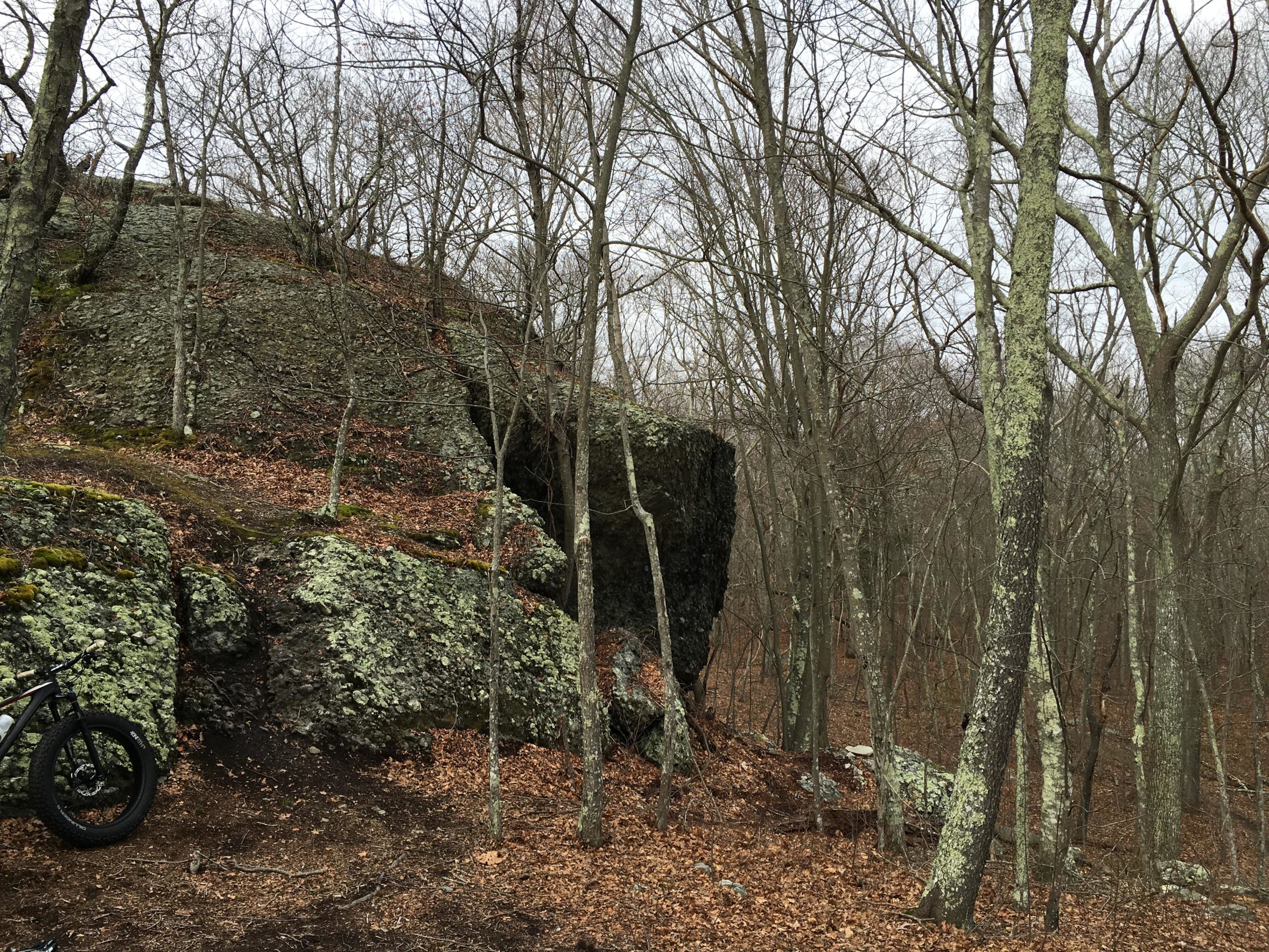 A rocky hillside covered in patches of moss, surrounded by bare trees in a forested area. Leaves are scattered on the ground, indicating late fall or early spring. A bicycle is partially visible on the left side of the image. Village Park/ Abrams Rock mountain bike trail.