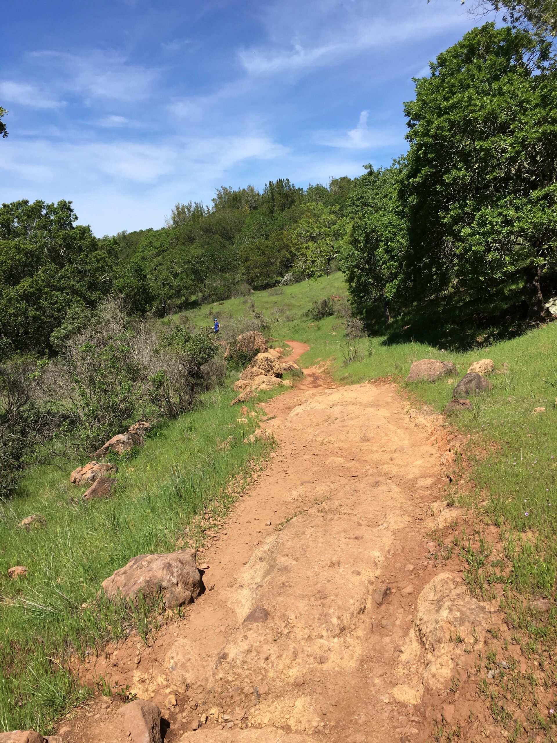 A dirt trail winding through a green landscape with scattered rocks, surrounded by lush trees under a blue sky with wispy clouds. A small figure can be seen in the distance on the path. Annadel State Park mountain bike trail.