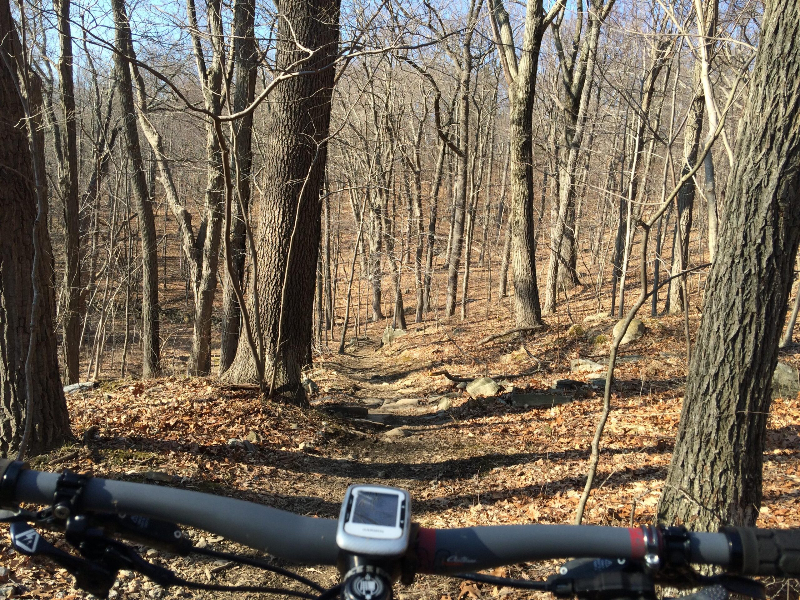 A view from a mountain bike handlebars looking down a rocky forest trail surrounded by bare trees and fallen leaves on the ground. Ringwood Skylands Manor mountain bike trail.