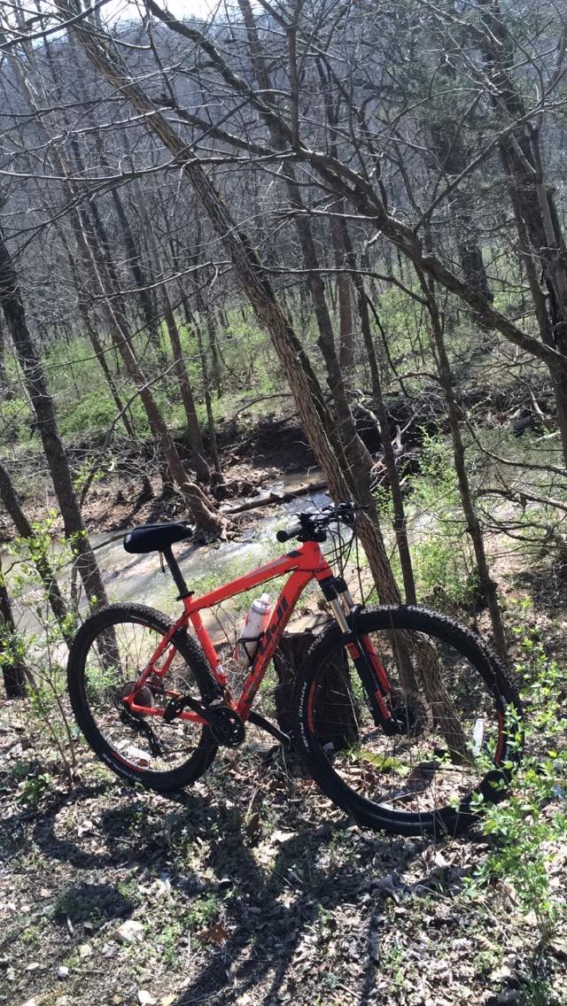 A bright red mountain bike is leaning against a tree in a wooded area. In the background, a small creek flows through the landscape, surrounded by bare trees and budding greenery. The scene is set on a sunny day, showcasing the natural beauty of the outdoors. Lost Valley mountain bike trail.