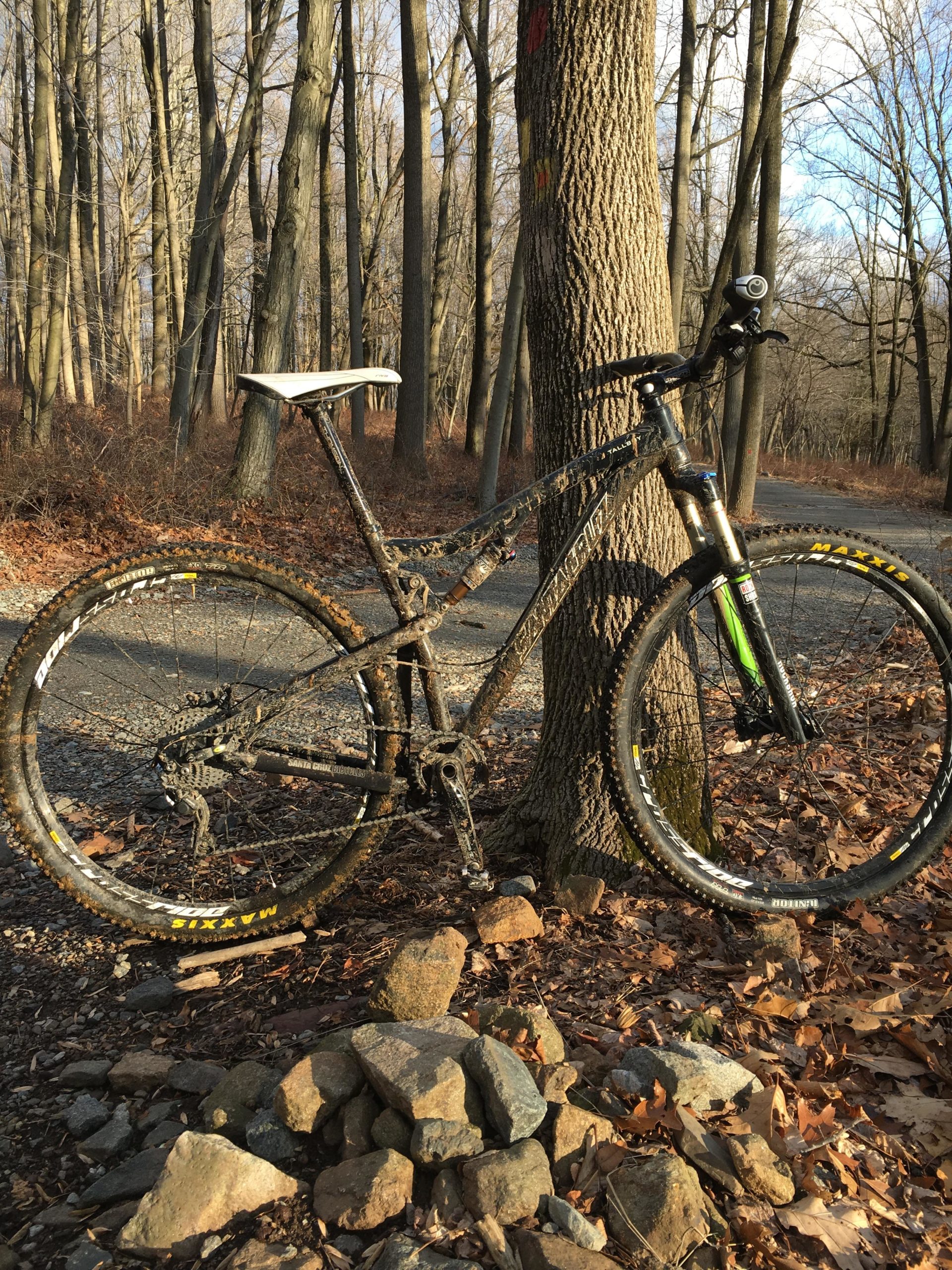 A mountain bike leaning against a tree in a wooded area, covered in dirt and mud, with autumn leaves scattered on the ground. A small pile of rocks is visible nearby, and a gravel path can be seen in the background. The scene is illuminated by natural sunlight filtering through the trees. Lewis Morris mountain bike trail.