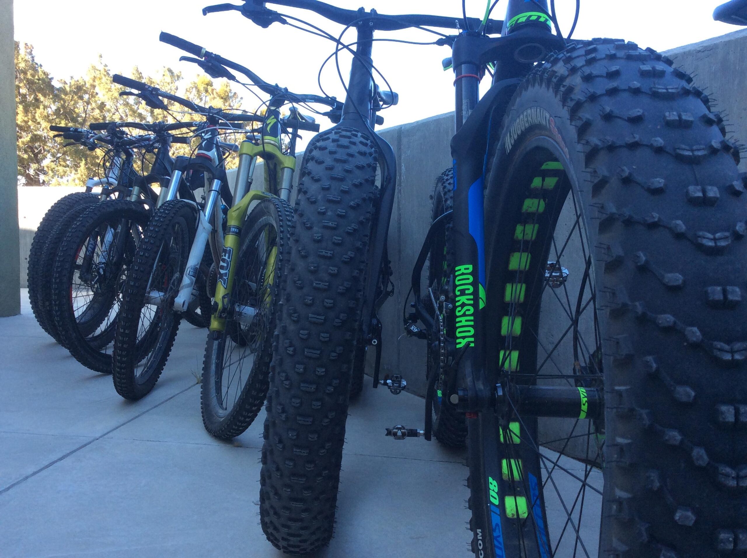 A row of mountain bikes parked on a concrete surface, showcasing a variety of tire sizes and styles. Some bikes have wide, knobby tires designed for off-road use, while others are slimmer. The scene is set outdoors, with greenery visible in the background and clear blue skies above.