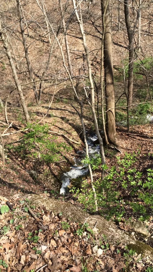 A tranquil forest scene featuring a small, flowing stream surrounded by trees and fallen leaves. Bright green foliage contrasts with the brown earth, indicating early spring. The water cascades gently over rocks, creating a peaceful atmosphere. Lost Valley mountain bike trail.