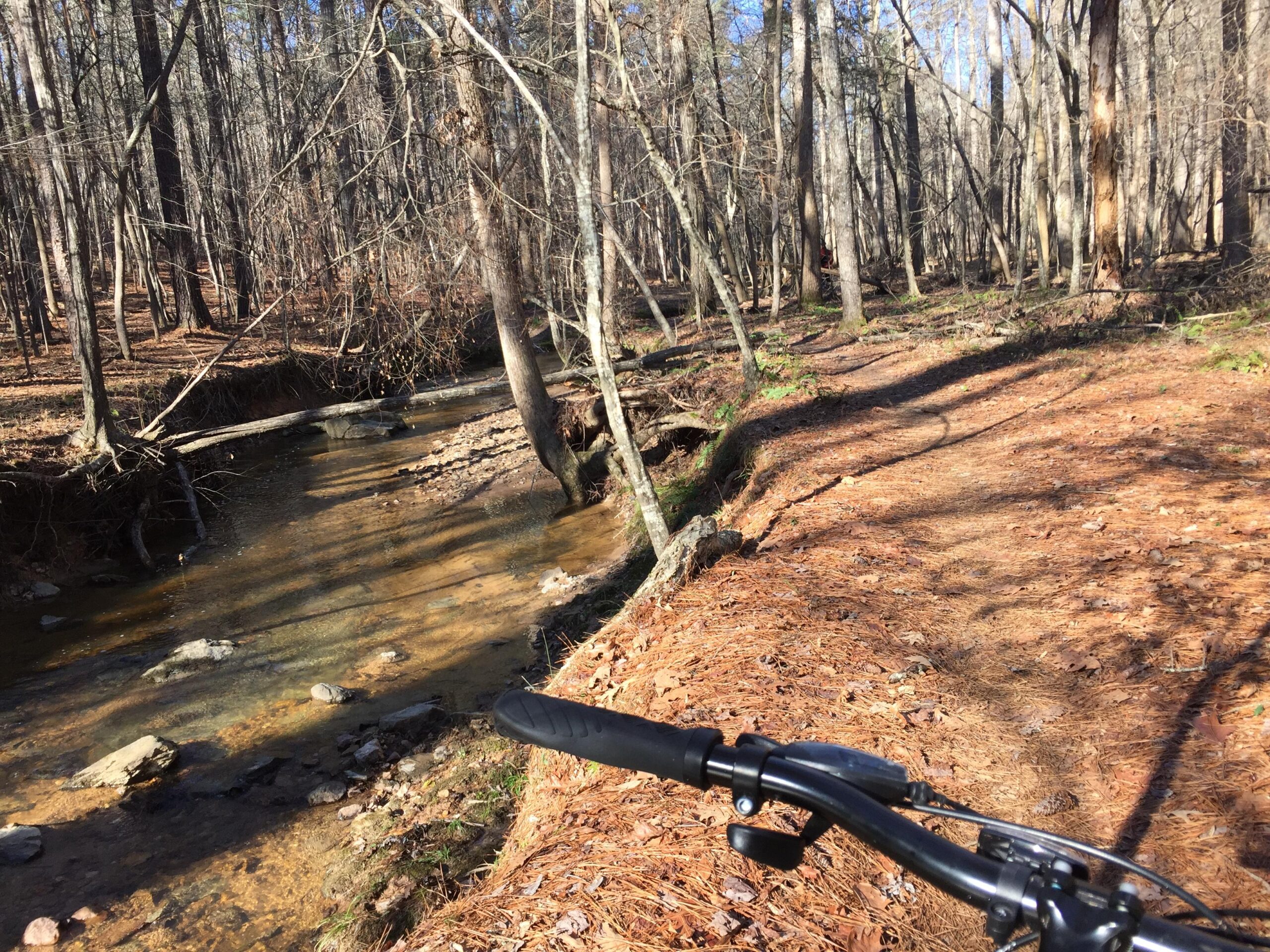 A view of a wooded trail alongside a creek, with the handlebars of a mountain bike visible in the foreground. The sunlight filters through the bare trees, casting shadows on the path covered in pine needles and leaves. Lake Crabtree County Park mountain bike trail.