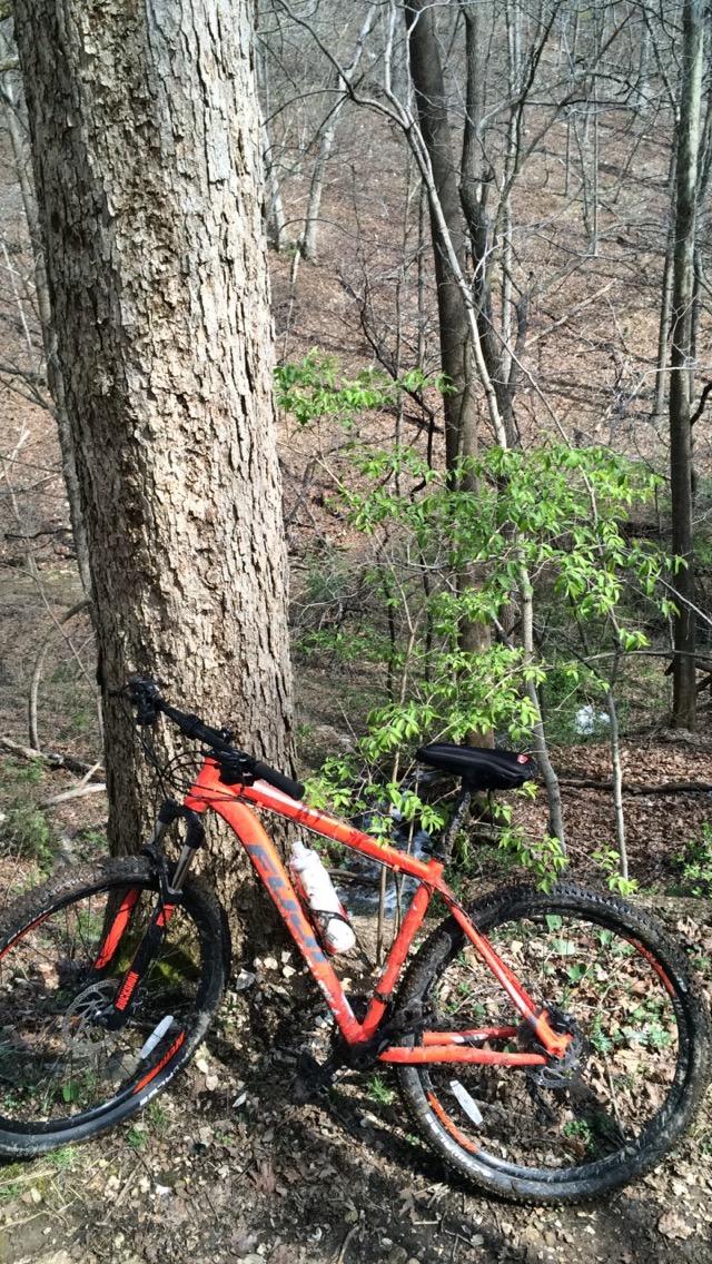 A mountain bike with a bright orange frame leaning against a large tree in a wooded area, with sparse leaves on surrounding trees and a forest floor covered in fallen leaves and small plants. Lost Valley mountain bike trail.