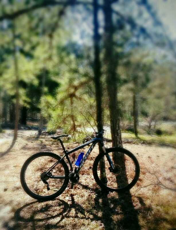A black mountain bike with blue water bottle mounted on it, leaning against a tree in a forested area, surrounded by pine trees and scattered grass. Sunlight filters through the foliage, creating a warm, natural ambiance. Clinton Nature Preserve mountain bike trail.