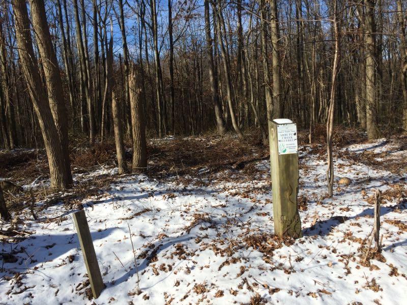 A snowy forest landscape with bare trees, featuring a wooden post that has a sign mounted on it. The ground is covered in snow and fallen leaves, and a few small rocks are visible in the foreground. Arbutus Woods mountain bike trail.