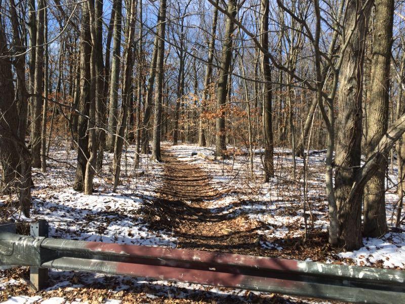 A serene winter trail winding through a forest, lined with bare trees and a carpet of fallen leaves. Patches of snow remain on the ground, and the clear blue sky peeks through the branches above. A wooden fence is visible in the foreground, adding to the tranquil outdoor scene. Wolfes Pond park mountain bike trail.