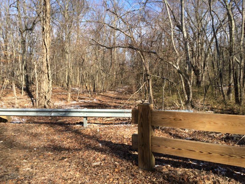 A view of a wooded area with bare trees and fallen leaves, featuring a wooden fence and a metal guardrail. Sunlight filters through the branches, illuminating a path leading into the forest. Long Pond mountain bike trail.
