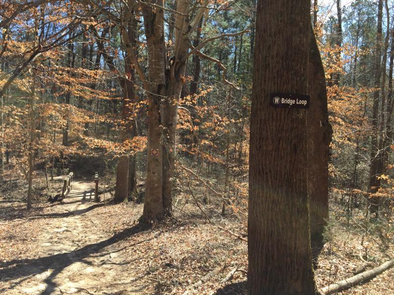 A forest path leading to a small wooden bridge, with a sign labeled "Bridge Loop" attached to a tree. The scene features trees with sparse, autumn-colored leaves and scattered dry leaves on the ground. Sunlight filters through the branches, creating a warm, inviting atmosphere. Clinton Nature Preserve mountain bike trail.