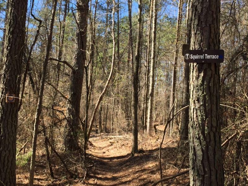 A dirt path through a wooded area with tall trees and sparse underbrush. A sign on the right side of the image reads "Squirrel Terrace." The sky is clear and blue, indicating a sunny day. Clinton Nature Preserve mountain bike trail.