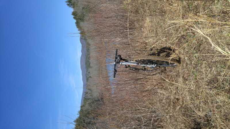 A mountain bike leaning against shrubs in a natural setting, with a clear blue sky and distant mountains in the background. The scene captures the essence of outdoor adventure and exploration. Bull / Jake Mountain mountain bike trail.