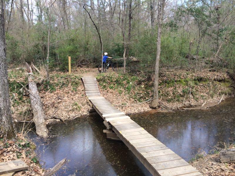 A narrow wooden bridge spans a small creek in a wooded area, with bare trees and green foliage surrounding it. A person in a blue shirt stands next to a bicycle on the path leading to the bridge, which is partially covered with fallen leaves. The scene captures a tranquil moment in nature, perfect for outdoor activities like biking or hiking. Lakeshore MTB Singletrack mountain bike trail.
