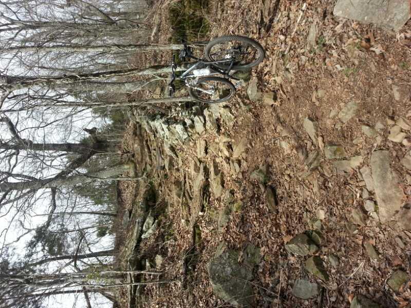A mountain bike resting on a rocky trail surrounded by bare trees and fallen leaves in a natural setting. Monte Sano State Park &amp; Land Trust mountain bike trail.