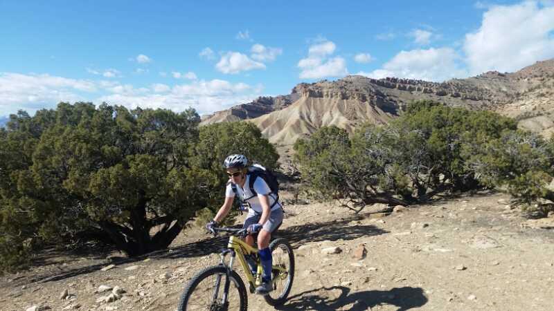 A cyclist riding a mountain bike on a rugged dirt trail surrounded by shrubs and trees, with rocky cliffs and a blue sky in the background. Bookcliff mountain bike trail.