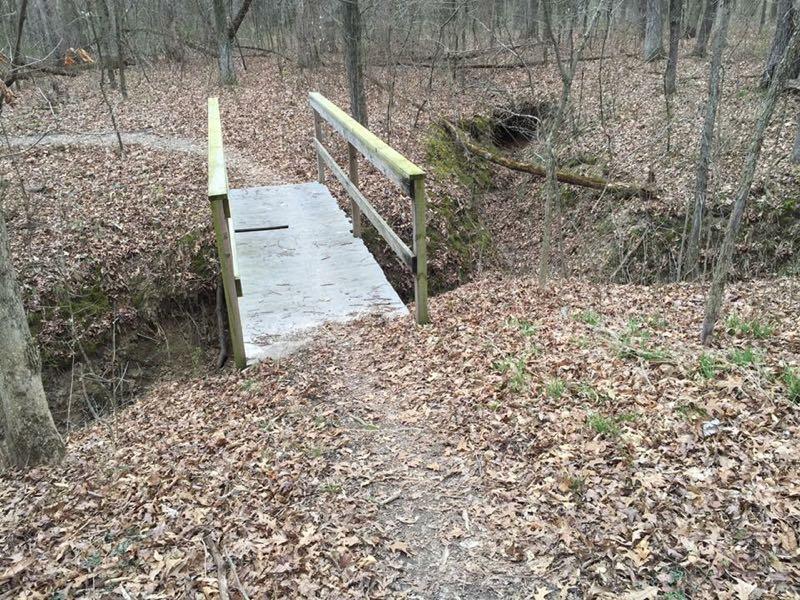 A small wooden bridge over a narrow ravine in a forested area with fallen leaves and bare trees in the background. Camp Camfield mountain bike trail.