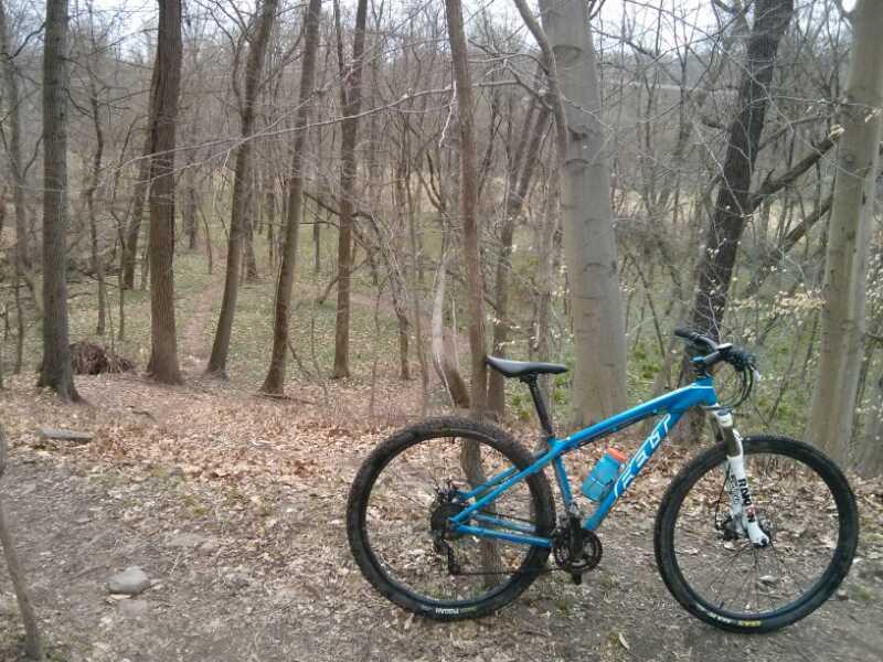 A blue mountain bike is parked on a dirt trail surrounded by bare trees. The forest is wooded with a mix of tall trunks and scattered leaves on the ground, suggesting early spring or late autumn. A winding path is visible in the background, leading deeper into the forest. Valley Forge Park River Trail mountain bike trail.