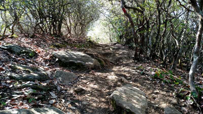 A narrow hiking trail winding through dense foliage, with rocky sections and scattered leaves on the ground. Bright light filters through the trees, illuminating the path ahead. Bennett Gap / 138 mountain bike trail.