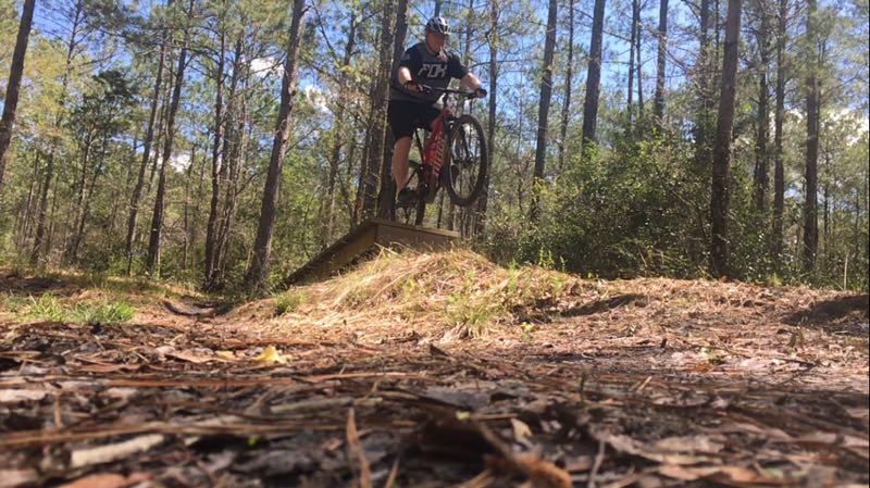 A cyclist jumping off a wooden ramp on a mountain bike in a wooded area, surrounded by tall trees and greenery. The rider is airborne, with both wheels off the ground, enjoying a sunny day outdoors. Brunswick Nature Park mountain bike trail.