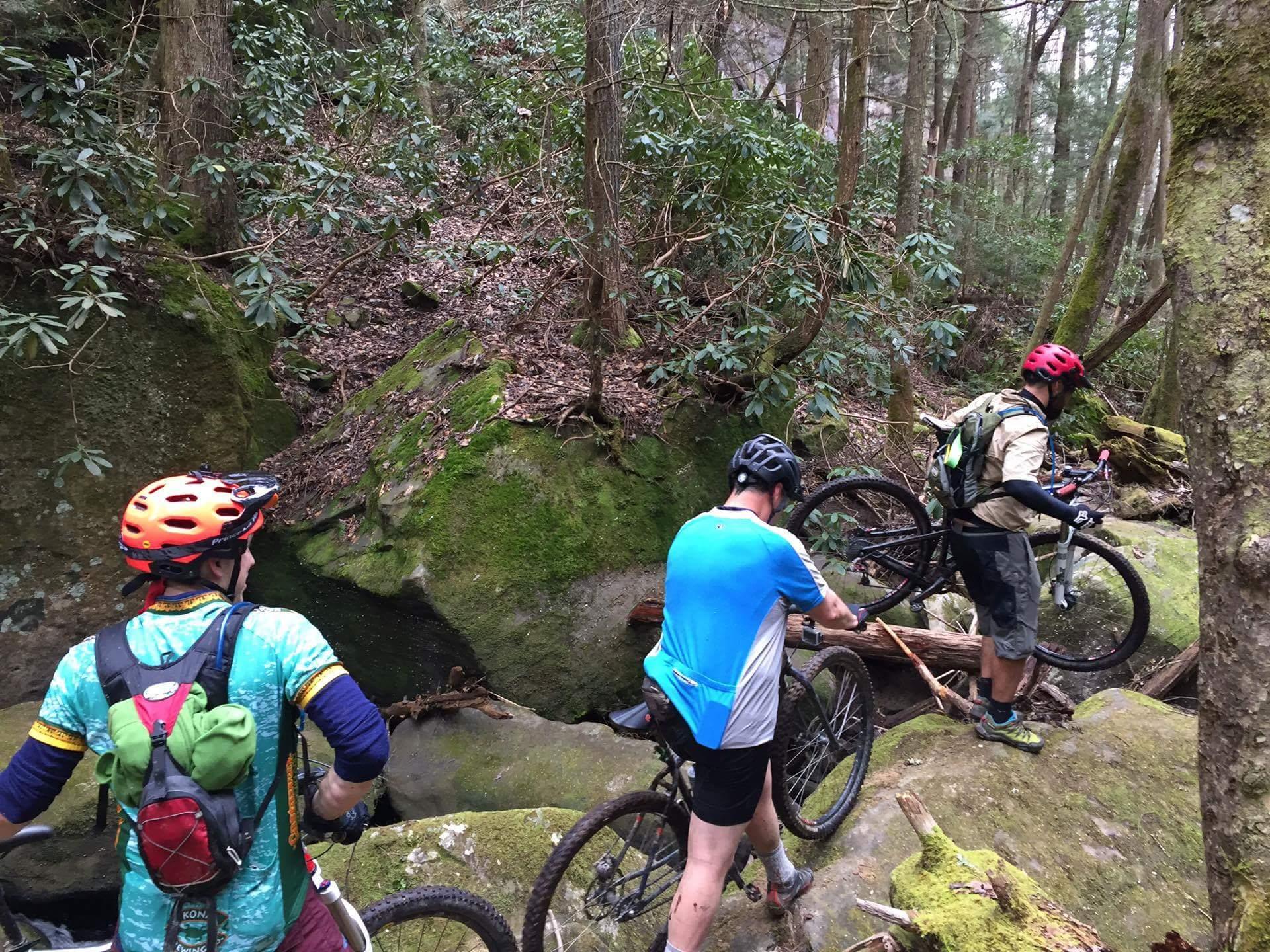 Three mountain bikers navigating through a rocky forest trail. The riders are carrying their bikes over a moss-covered boulder, surrounded by dense greenery. One biker in an orange helmet and colorful shirt looks towards the trail, while another adjusts his bike. The scene captures the adventure and challenges of off-road cycling in nature. Sheltowee Trace - Laurel Lake Trail mountain bike trail.