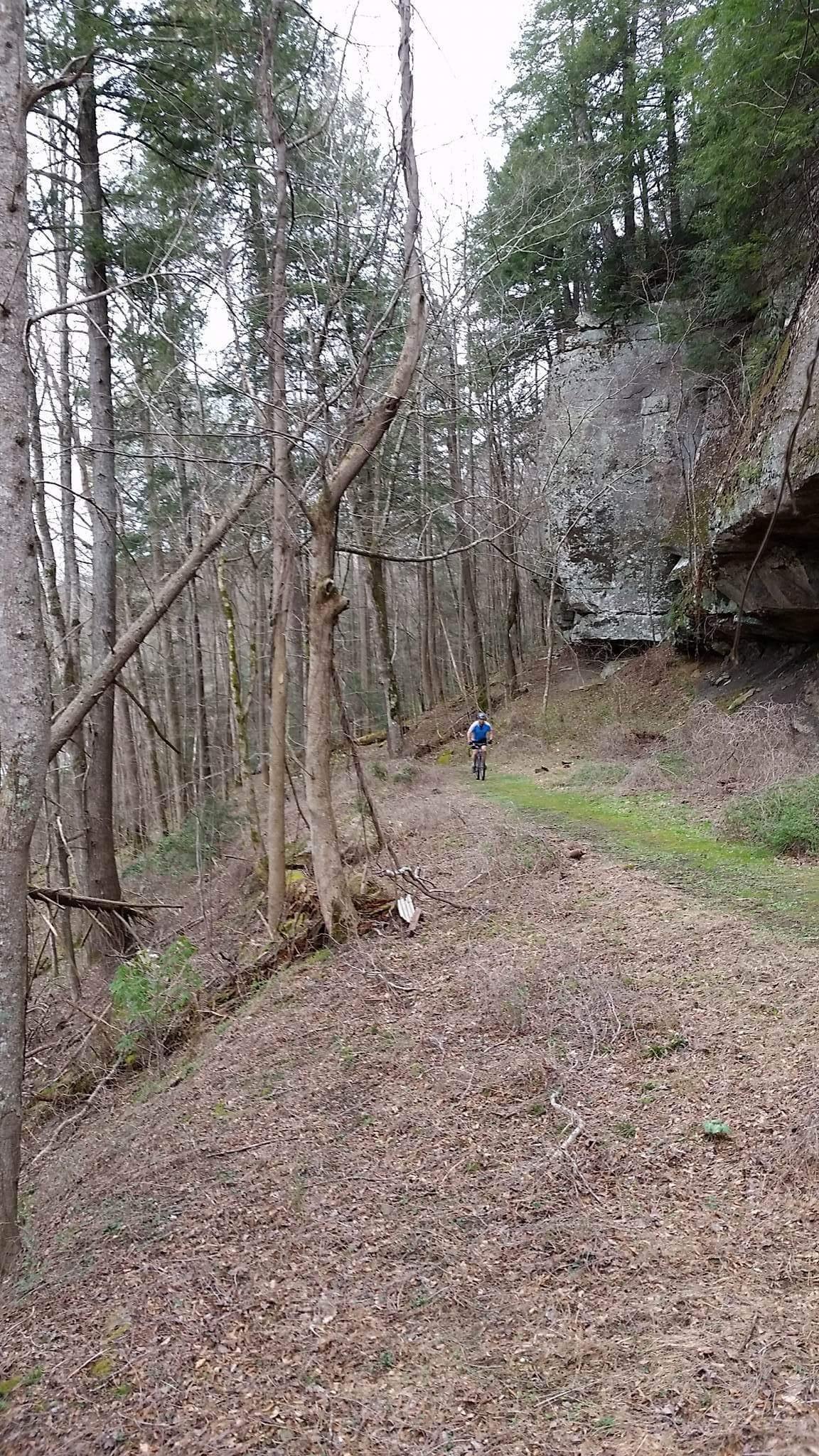 A cyclist riding on a narrow trail surrounded by tall trees in a forested area. In the background, a rocky cliff is visible, partially covered with greenery, and the ground is covered with dried leaves and underbrush. The atmosphere appears calm and natural. Sheltowee Trace - Laurel Lake Trail mountain bike trail.
