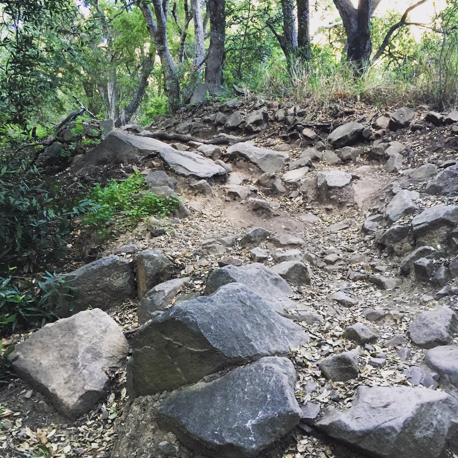 A rocky hiking trail surrounded by trees, with large boulders and loose stones scattered along the path. Green vegetation and patches of dry leaves are visible on the ground, indicating a natural setting. Romero Road mountain bike trail.