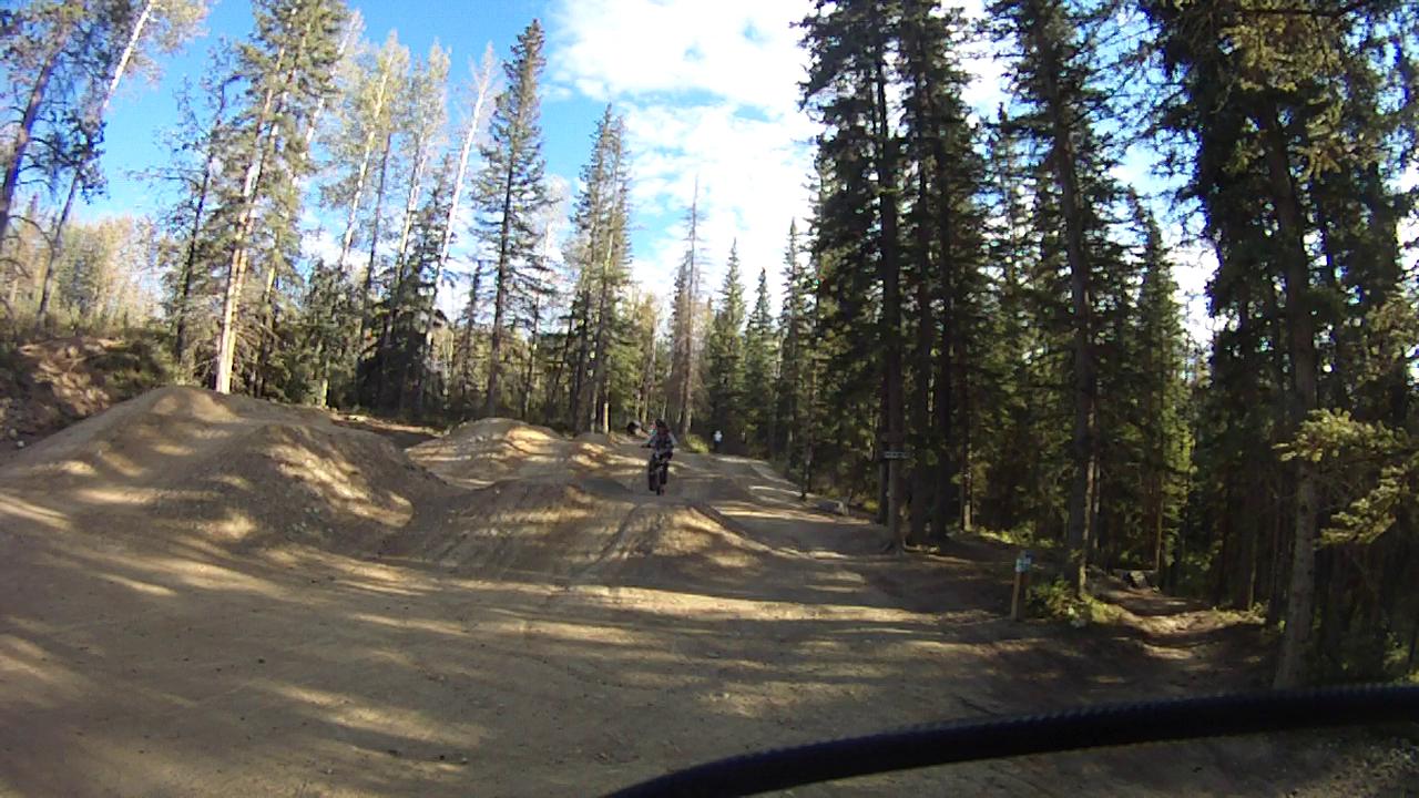 A dirt trail surrounded by tall evergreen trees, featuring a bike rider navigating through dirt mounds. The sky is partly cloudy, creating a bright and open atmosphere. Hinton Skills Park mountain bike trail.