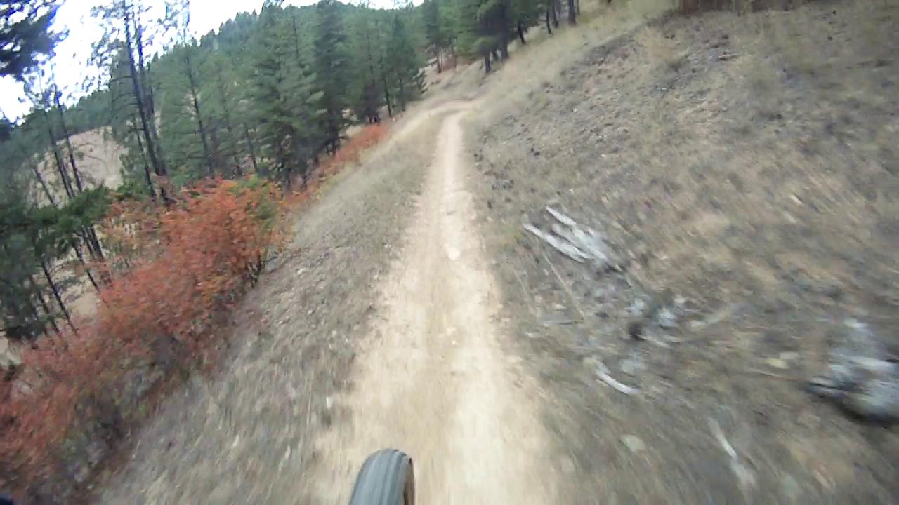 Mountain biking trail winding through a forested area, featuring a dirt path surrounded by trees and patches of autumn-colored foliage. The image captures a close-up view of a bicycle tire on the trail, emphasizing the natural landscape and the adventure of biking in the outdoors. Rattlesnake mountain bike trail.