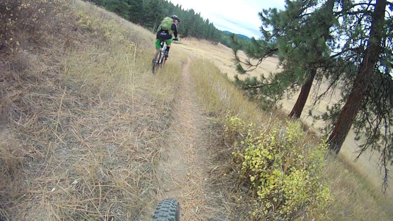 A mountain biker riding along a narrow dirt trail surrounded by tall grass and pine trees in a natural landscape. The scene captures a sense of adventure and outdoor activity. Rattlesnake mountain bike trail.