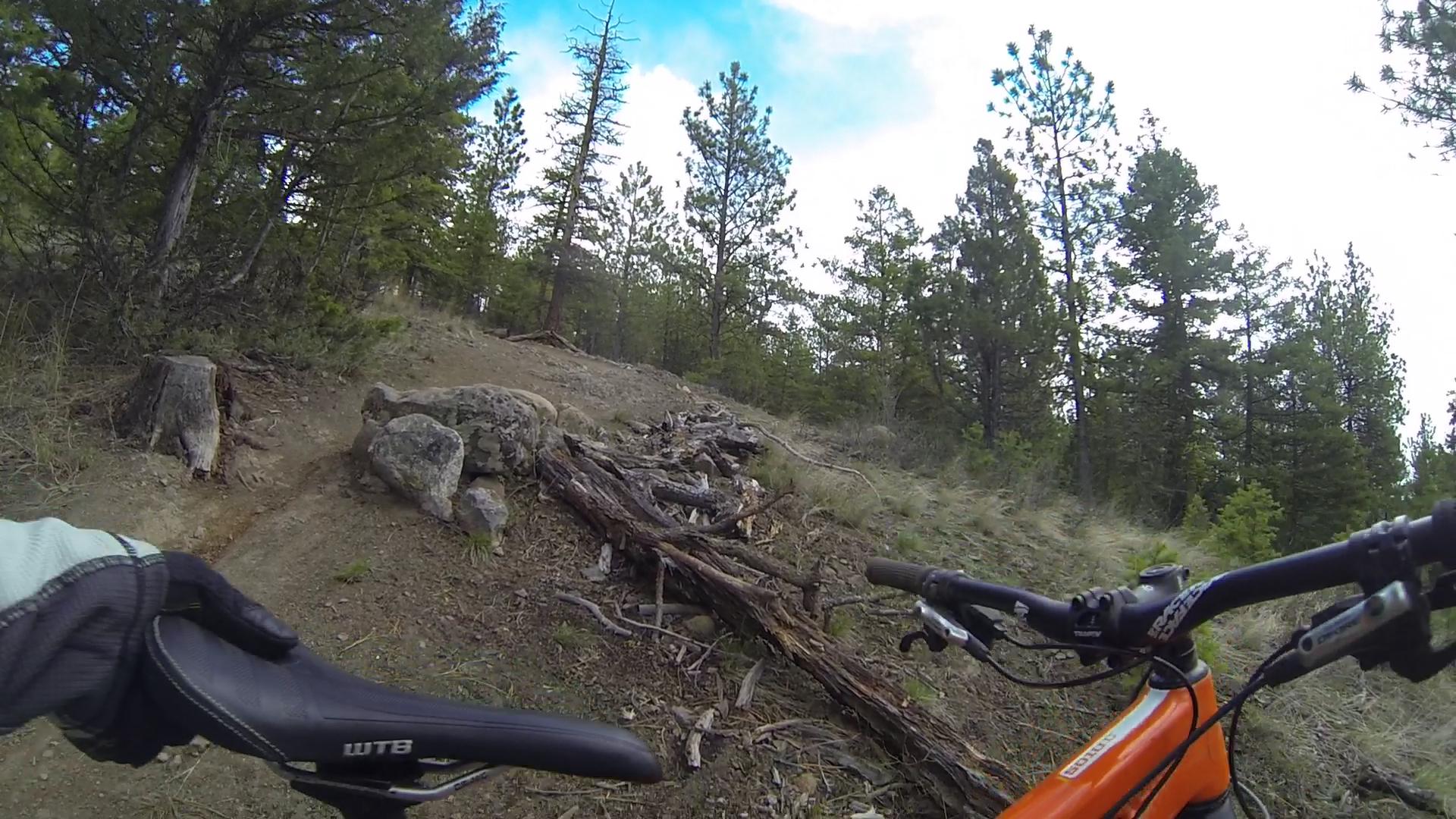 Alt text: A close-up view of a mountain bike handlebar and seat on a dirt trail in a forested area. The landscape features trees, rocks, and fallen branches, with a clear sky above. Smith Creek mountain bike trail.