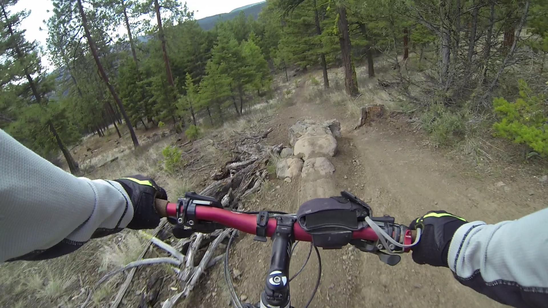 A mountain biker's perspective while navigating a rocky trail in a forested area, with trees and greenery surrounding the dirt path. The handlebars of the bike are prominent in the foreground, showing biking gloves and gear. Smith Creek mountain bike trail.