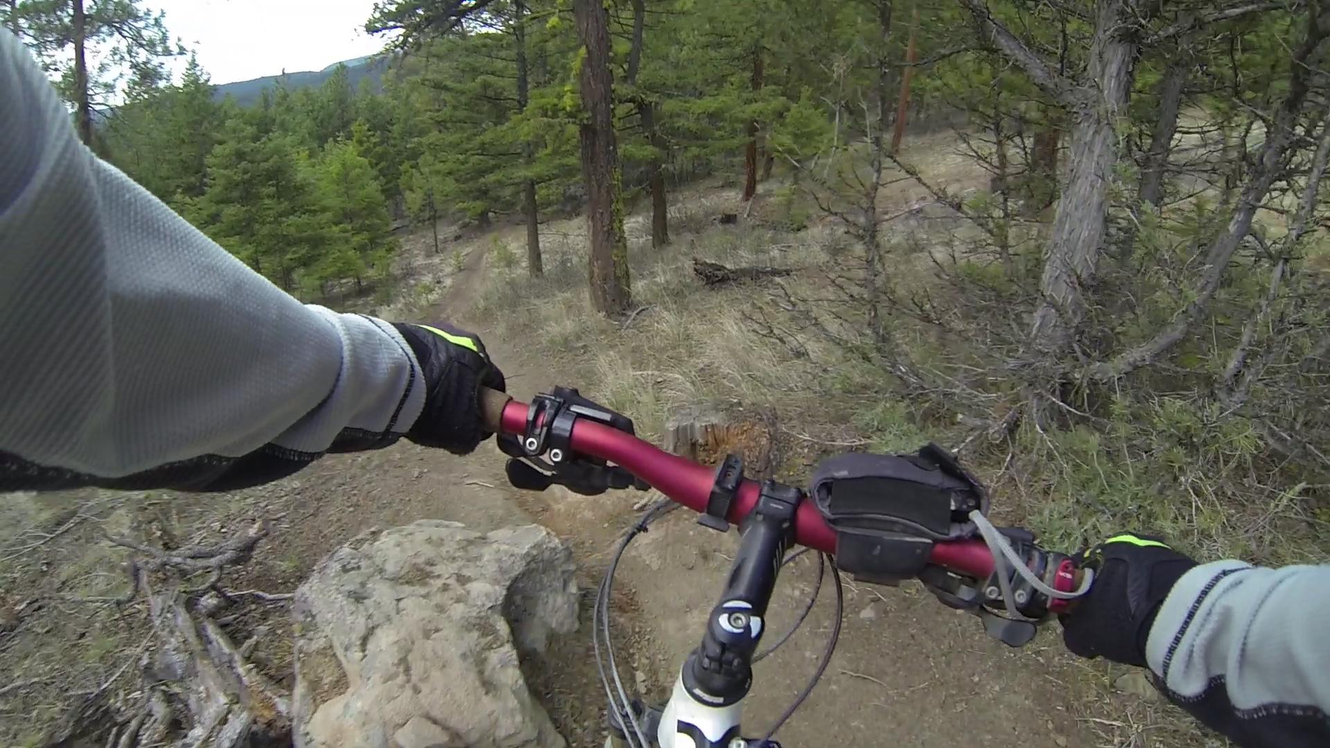Close-up view of a mountain biker's hands on the handlebars, navigating a rocky trail in a forested area with green trees and a dirt path visible in the background. The biker is wearing gloves and part of a cycling outfit, suggesting an active outdoor adventure. Smith Creek mountain bike trail.