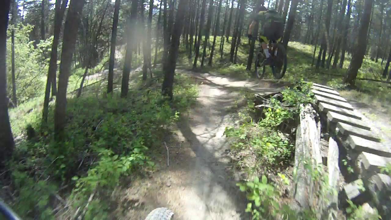 A mountain biker jumping off a small ramp on a wooded trail, surrounded by trees and greenery. The bike is airborne, with the rider in a crouched position, showcasing an adventurous moment in mountain biking. Smith Creek mountain bike trail.