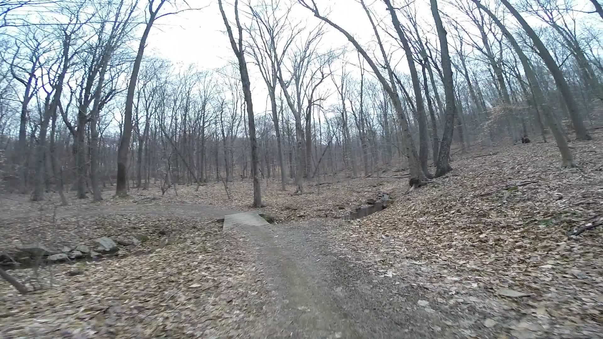 A dirt trail winding through a leaf-strewn forest, bordered by tall trees with bare branches. A small wooden bridge crosses over a shallow creek, with scattered rocks visible on the ground. The scene conveys a quiet, natural environment, likely in early spring or late autumn. Lewis Morris mountain bike trail.