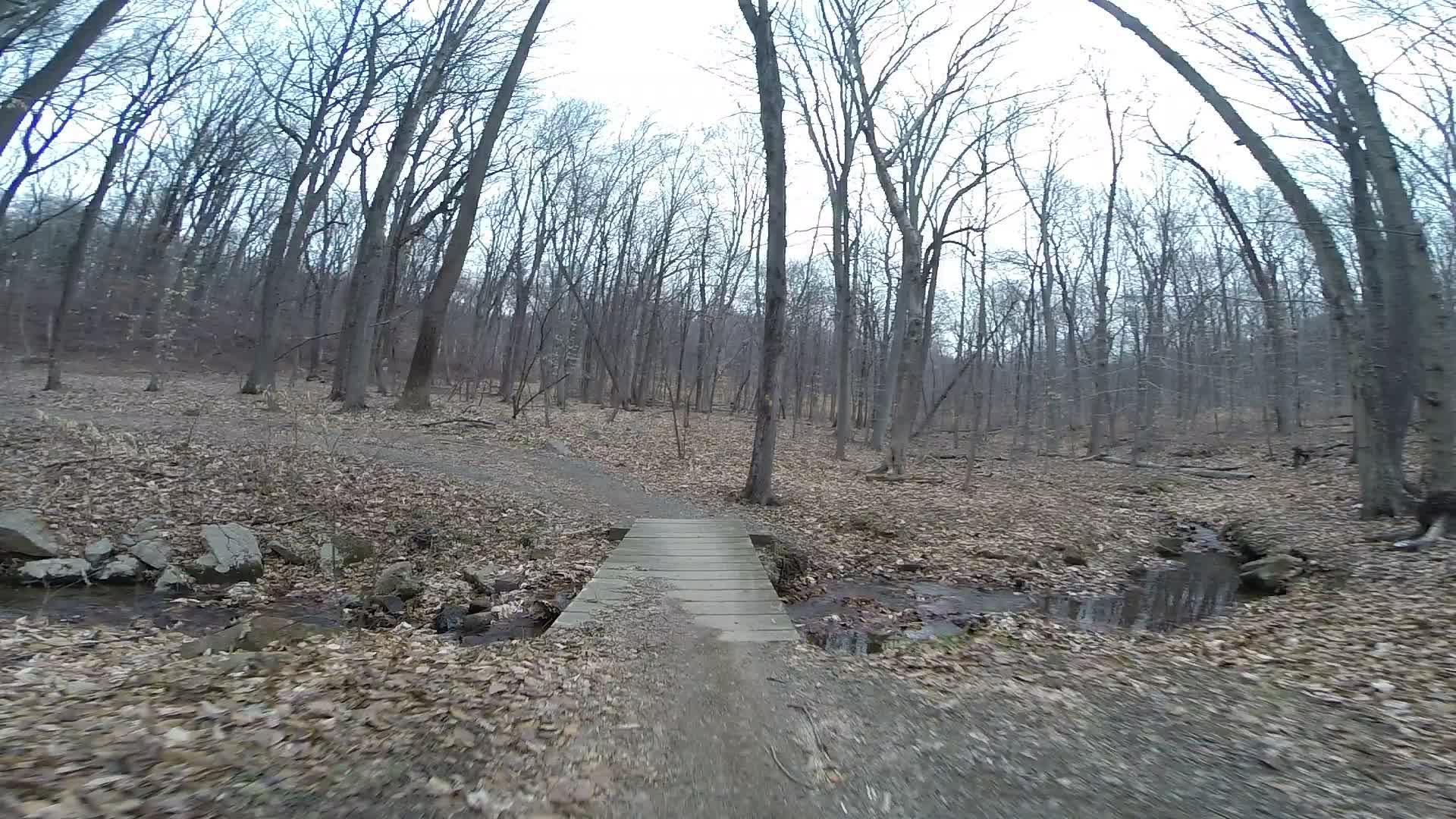 A dirt path winding through a leaf-strewn forest with bare trees, featuring a wooden bridge crossing a small stream. The scene captures a tranquil, early spring ambiance. Lewis Morris mountain bike trail.