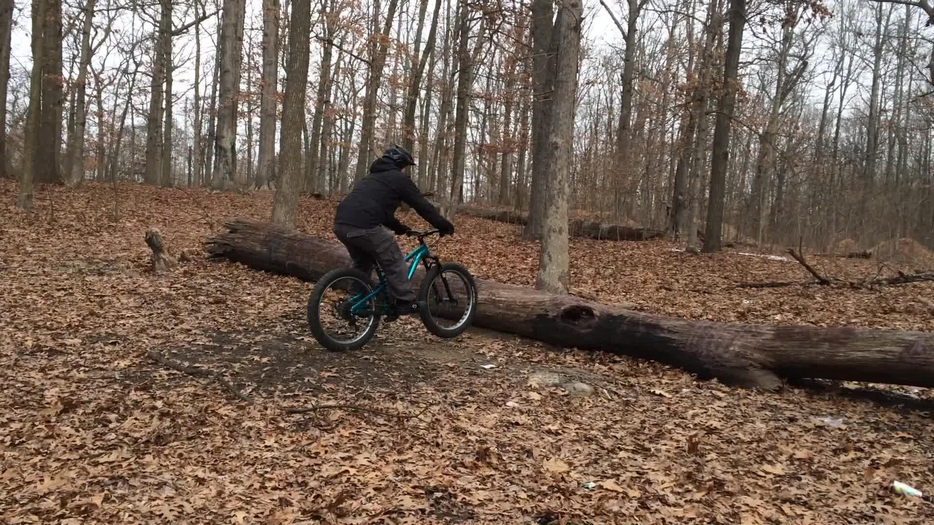 A person riding a mountain bike over a fallen log in a wooded area covered with fallen leaves, surrounded by bare trees in a tranquil outdoor setting. Wolfes Pond park mountain bike trail.
