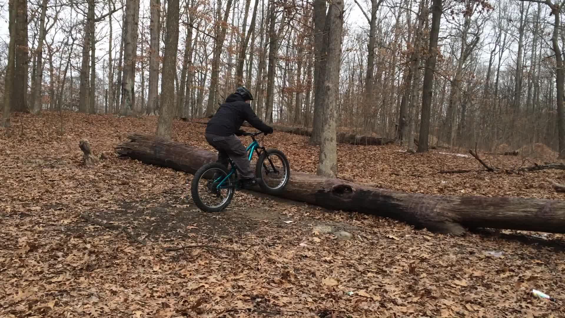 A person riding a mountain bike over a fallen log in a wooded area during fall, surrounded by bare trees and scattered leaves on the ground. Wolfes Pond park mountain bike trail.