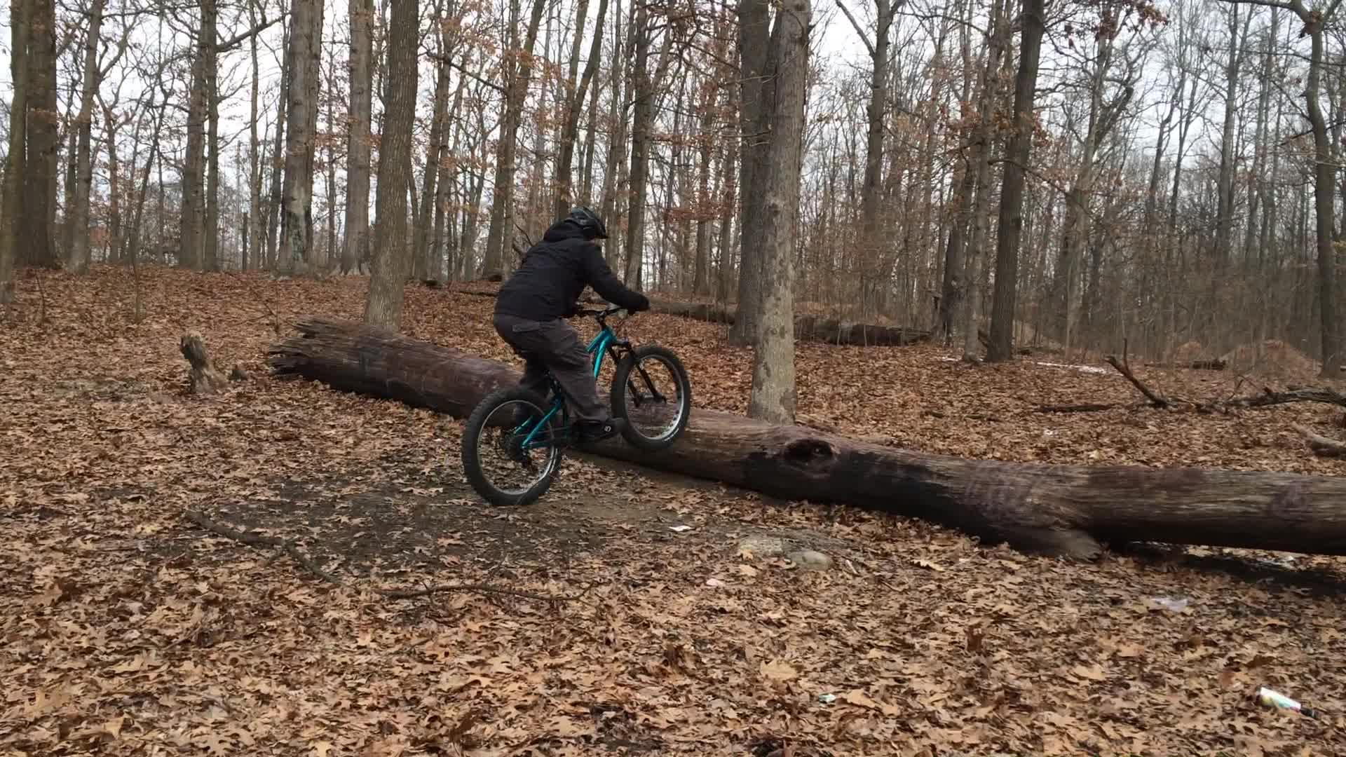 A person riding a mountain bike approaches and balances on a fallen log in a forested area covered with autumn leaves. The surrounding trees are bare, indicating late fall or early winter. Wolfes Pond park mountain bike trail.
